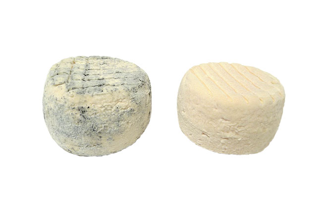 CABRI BLANC